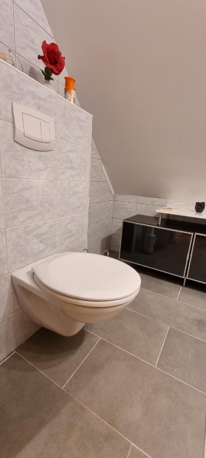 Apartment Mittelpunkt - Kaufmann Sankt Stefan ob Leoben ภายนอก รูปภาพ